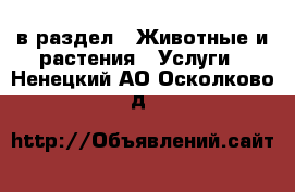  в раздел : Животные и растения » Услуги . Ненецкий АО,Осколково д.